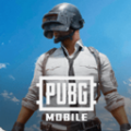PUBG