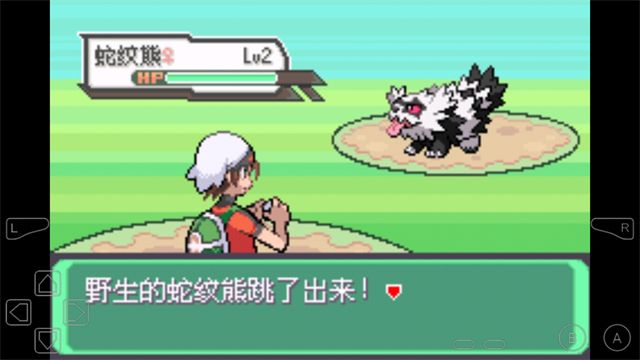 究极绿宝石5自带金手指版图3