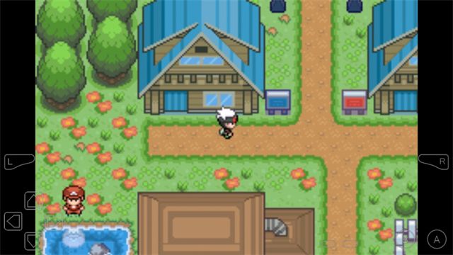 究极绿宝石5自带金手指版图2