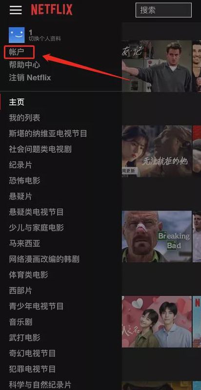 奈菲影视最新版本app安卓下载（netflix）图片4