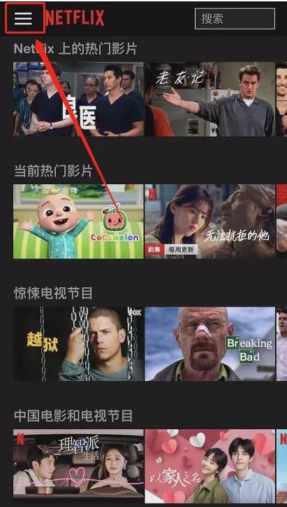 奈菲影视最新版本app安卓下载（netflix）图片3