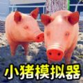 小猪开派对