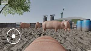 可爱小猪2免广告版下载图片1