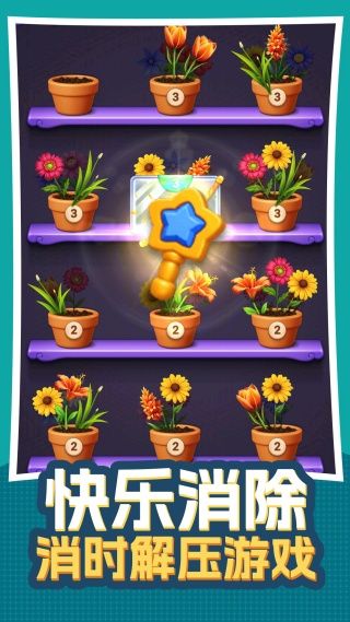 无序生花游戏图2