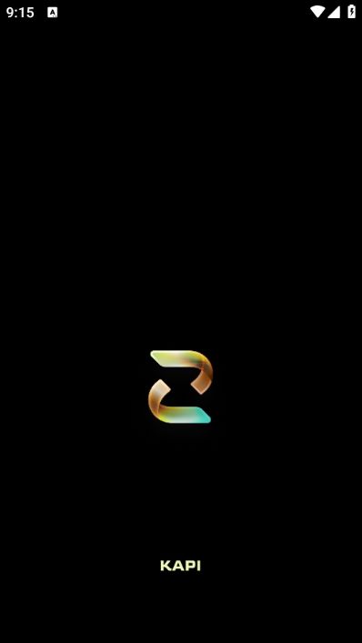 Kapi相机app图1