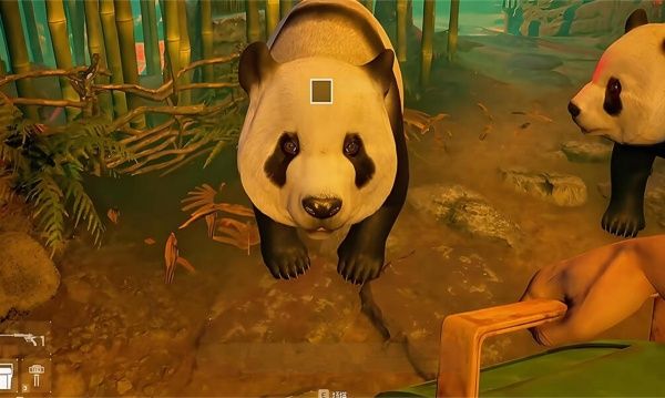 会说话的熊猫宝宝游戏图2