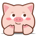 小猪4K