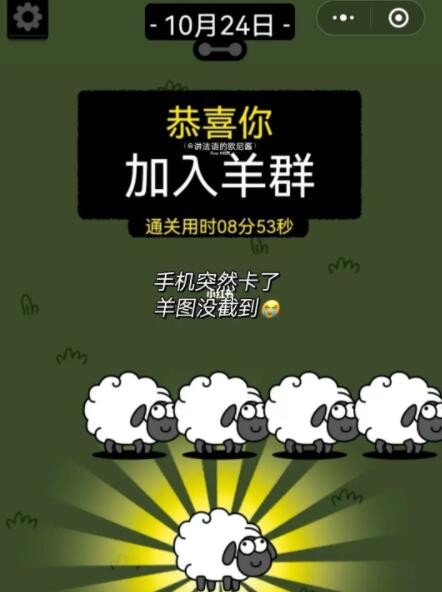 羊了个羊10.24第二关怎么过   10月24日关卡攻略[多图]图片8