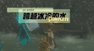 王国之泪跨越冰冷的水任务攻略  跨越冰冷的水10个冰冷蘑菇获取一览图片11