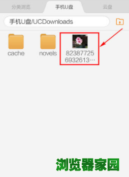 手机uc浏览器保存的图片在哪里找[多图]图片5