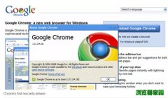 谷歌Chrome浏览器发布10年成霸主[图]