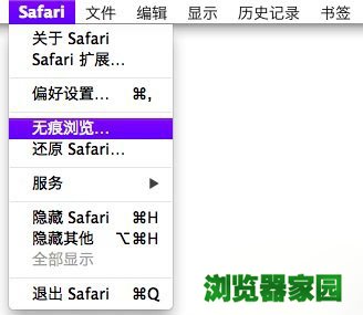 safari浏览器无痕浏览怎么设置[多图]图片2