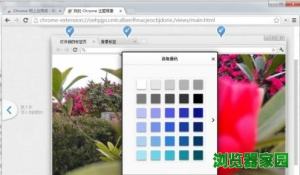 谷歌浏览器主题美化自定义设置方法图片10